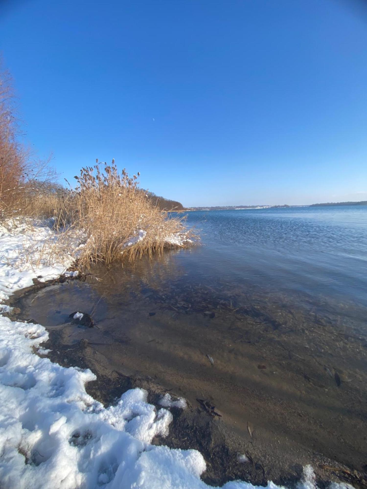 Pool & Lake Holiday Home Markkleeberg Luaran gambar